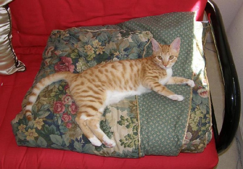 buddy20091001_3.jpg