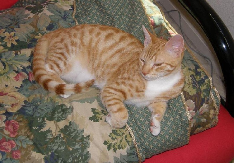 buddy20091001_5.jpg