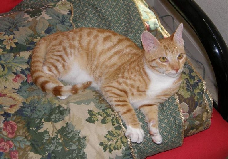 buddy20091001_6.jpg