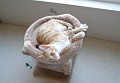buddy20091001_7