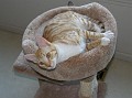 buddy20091001_9