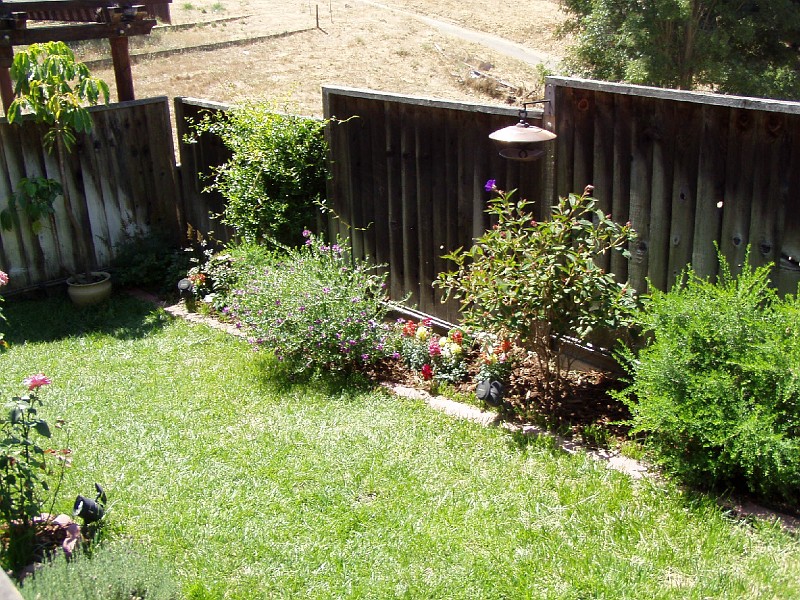 gb20060819_garden01.jpg - West flowerbed.