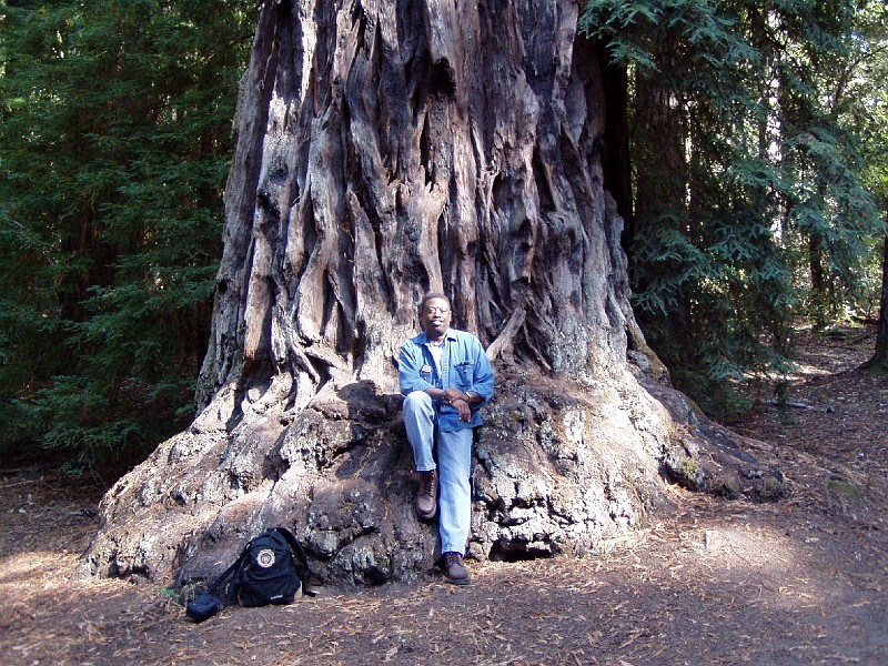 bigbasin_04.jpg - Me in front of a big tree.