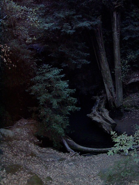 bigbasin_16.jpg