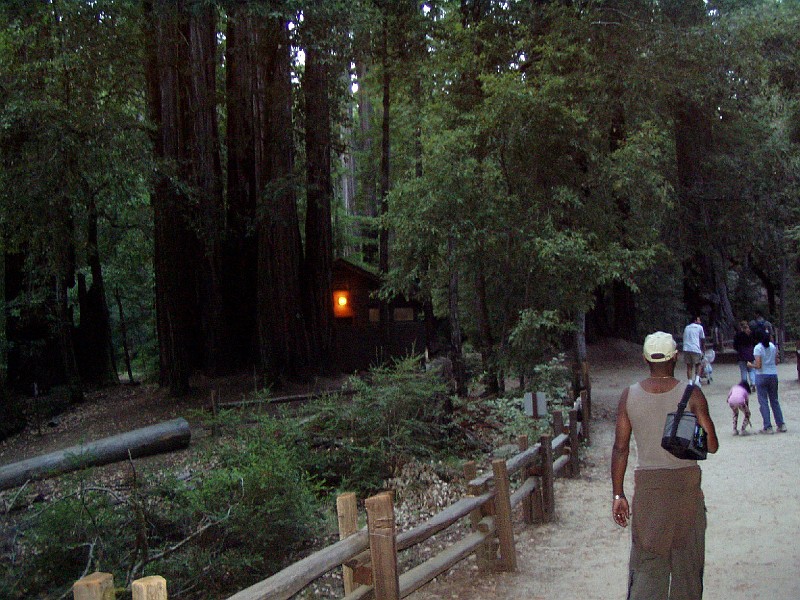 bigbasin_31.jpg