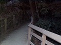 bigbasin_15