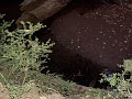 bigbasin_19