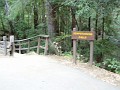 bigbasin_20