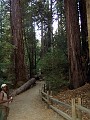 bigbasin_25