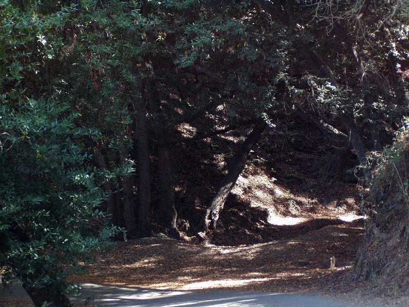 chabot_20031011_8.jpg