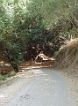 chabot_20031011_9