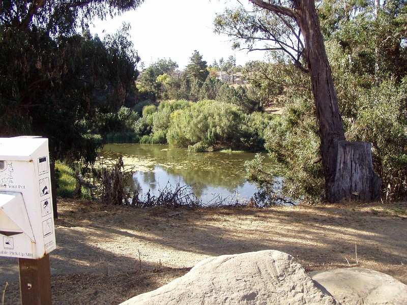 doncastro_20031025_001.jpg