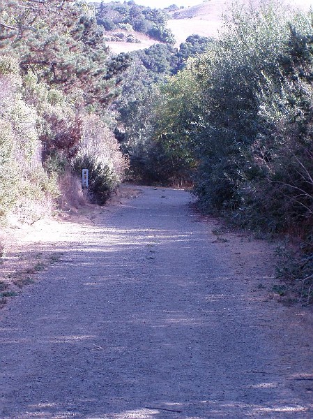 doncastro_20031025_006.jpg