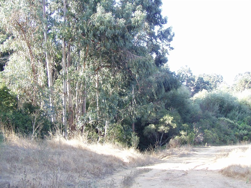 doncastro_20031025_008.jpg