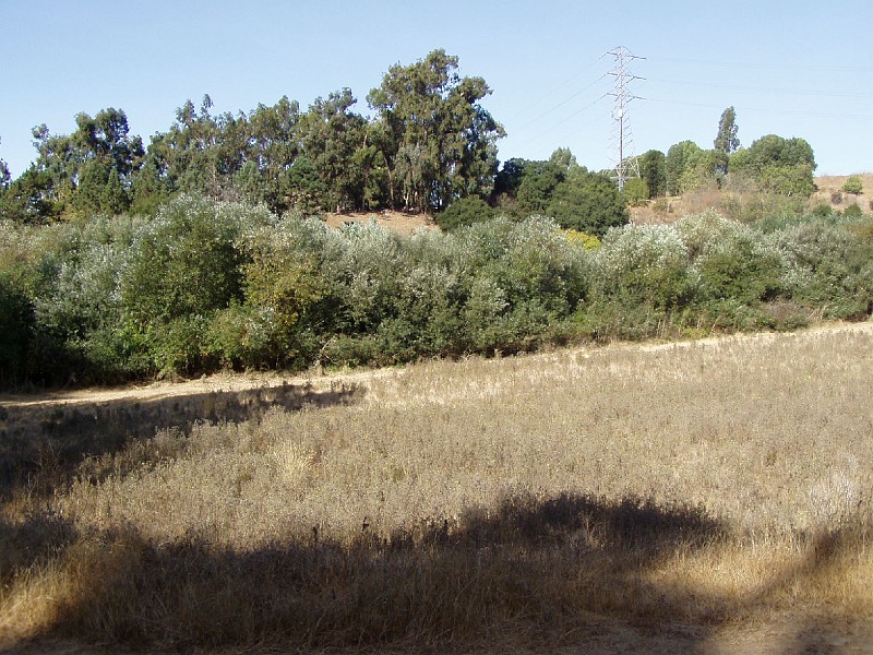 doncastro_20031025_010.jpg