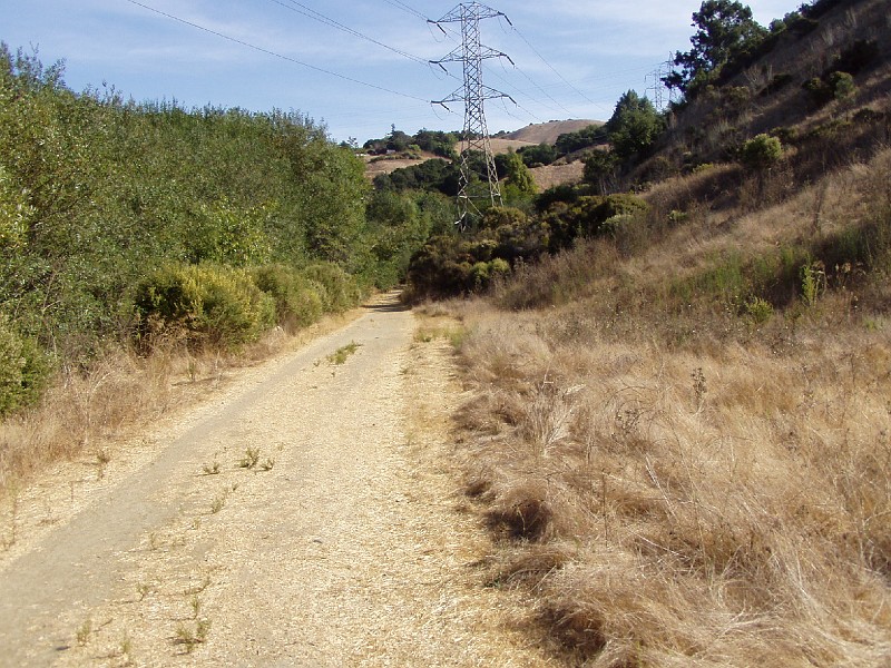 doncastro_20031025_011.jpg