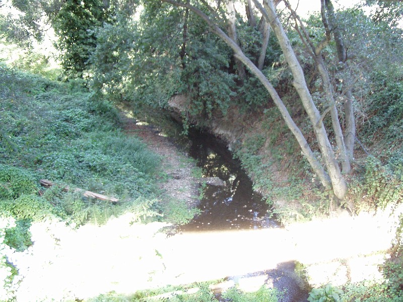 doncastro_20031025_016.jpg