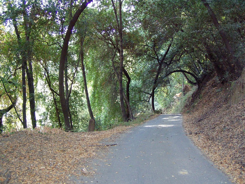 doncastro_20031025_018.jpg