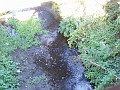 doncastro_20031025_017