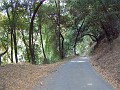 doncastro_20031025_018