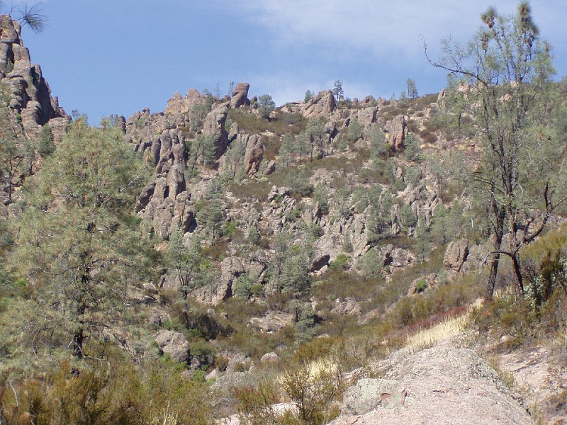 pinn15.jpg