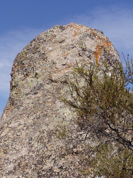 pinn20.jpg