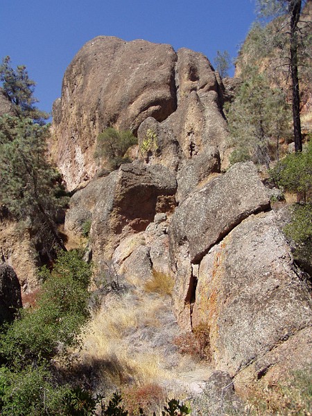 pinn38.jpg