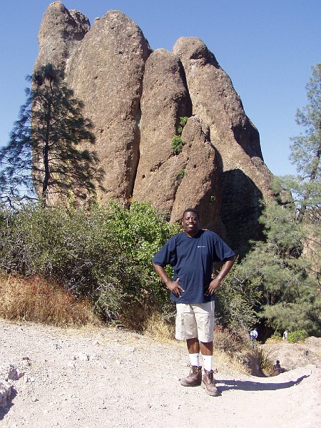 pinn40.jpg