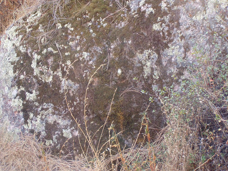 pinn54.jpg