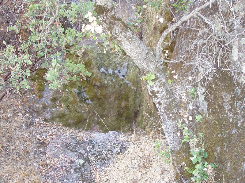 pinn59.jpg