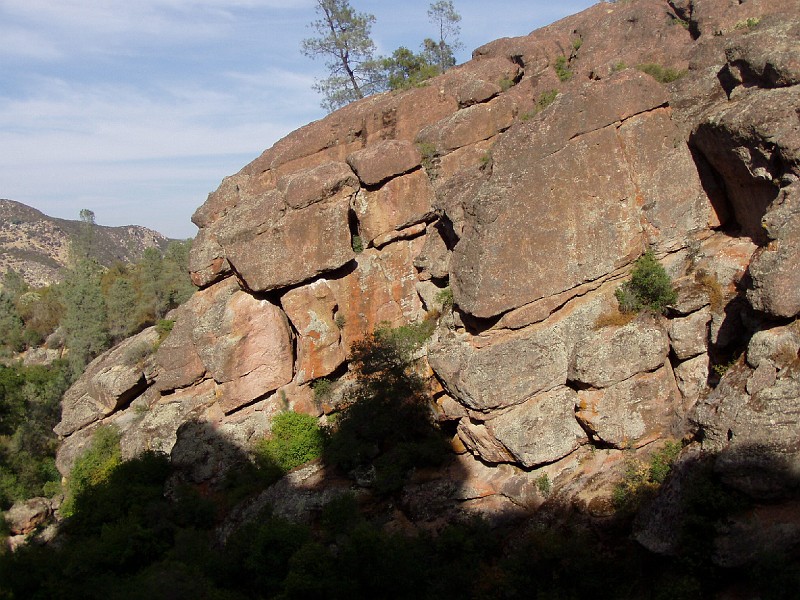 pinn78.jpg