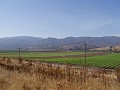 pinn01