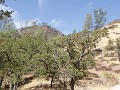 pinn07