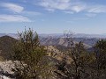 pinn18