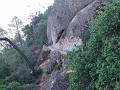 pinn55