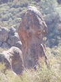 pinn61