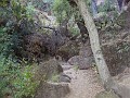 pinn75