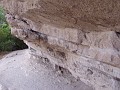 pinn79