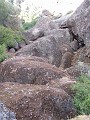 pinn81