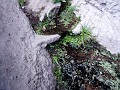 pinn90