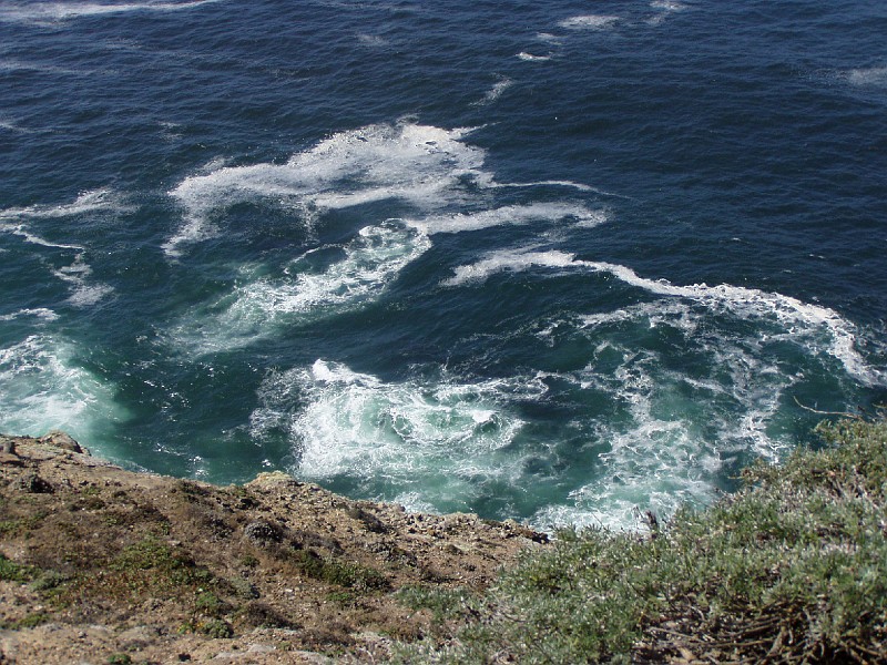 point_reyes_21.jpg