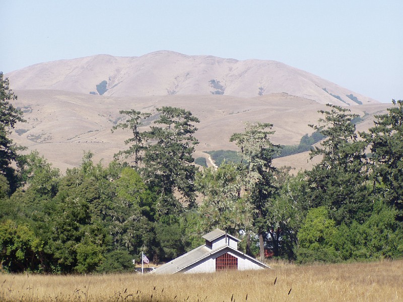 point_reyes_34.jpg
