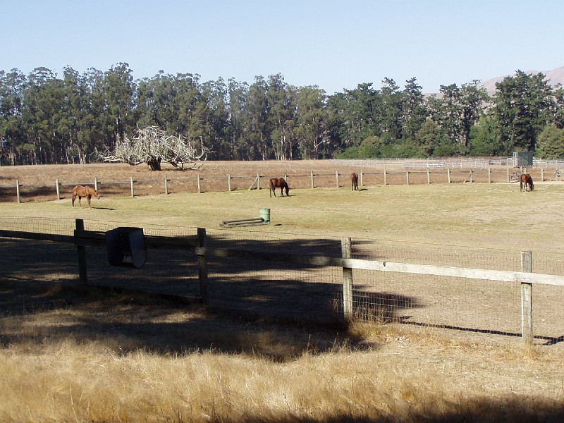point_reyes_36.jpg