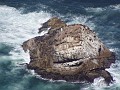 point_reyes_15