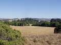 point_reyes_26