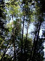 point_reyes_29