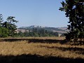 point_reyes_33
