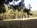 point_reyes_39