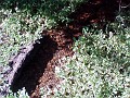 point_reyes_42