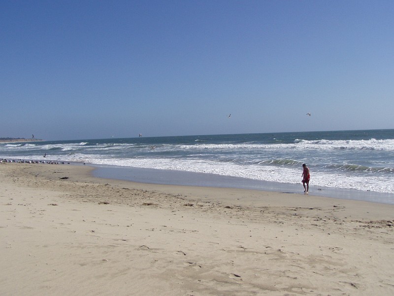 venice_beach_20040612_11.jpg